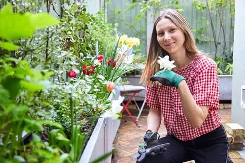 Britain's best garden designers share their tips for getting into gardening cover image